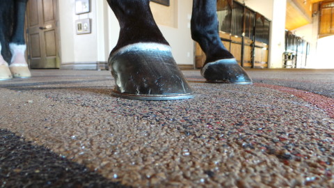 equestrian flooring system