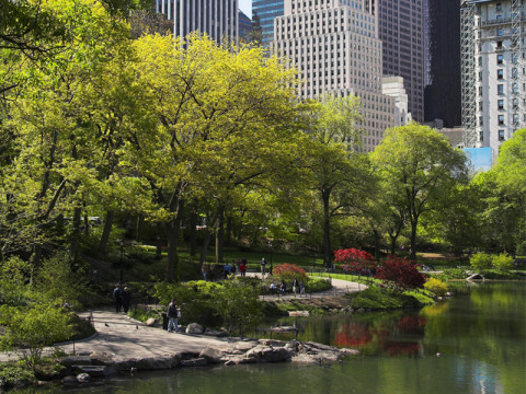 CentralPark_green flooring for NYC building development projects