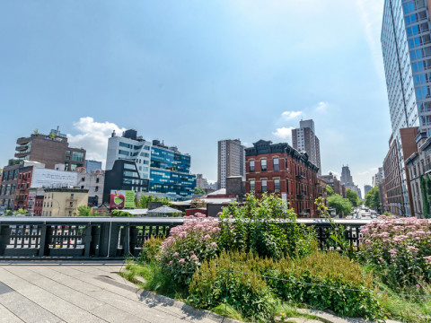 green flooring for NYC building development projects