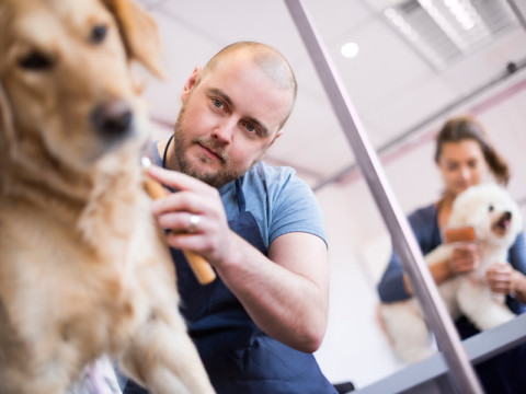 flooring system for dogs