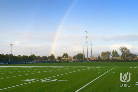 synthetic turf